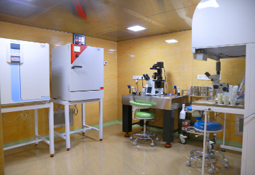 IVF